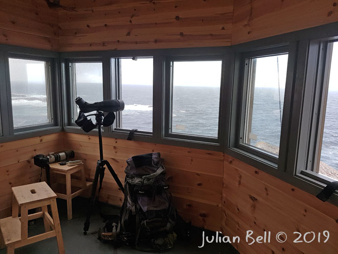 Inside the hide at Skogsøy